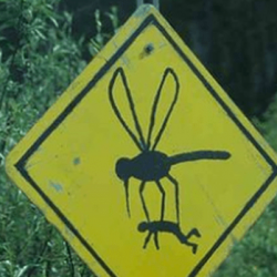 Blog Germinal Una selección de avisos y carteles curiosos