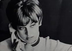 Diversidad con foco en género